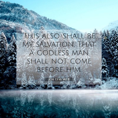Picture 07 - Job 13:16 WEB - This also shall be my salvation, That a godless - Bible Verse Picture