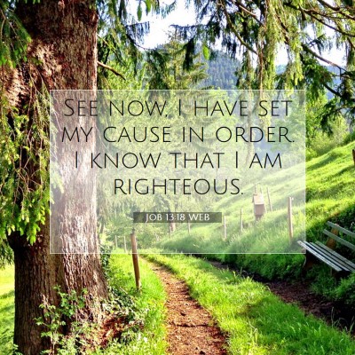 Picture 07 - Job 13:18 WEB - See now, I have set my cause in order. I know - Bible Verse Picture