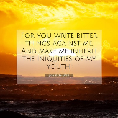 Picture 07 - Job 13:26 WEB - For you write bitter things against me, And make - Bible Verse Picture