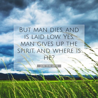 Picture 07 - Job 14:10 WEB - But man dies, and is laid low. Yes, man gives up - Bible Verse Picture