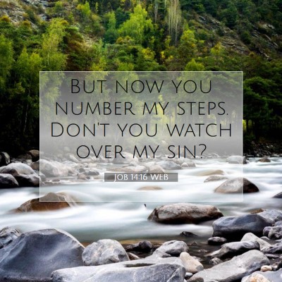 Picture 07 - Job 14:16 WEB - But now you number my steps. Don't you watch over - Bible Verse Picture