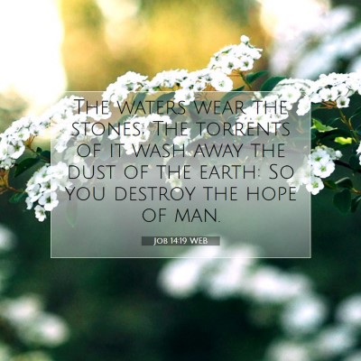 Picture 07 - Job 14:19 WEB - The waters wear the stones; The torrents of it - Bible Verse Picture