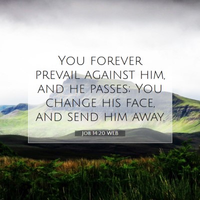 Picture 07 - Job 14:20 WEB - You forever prevail against him, and he passes; - Bible Verse Picture