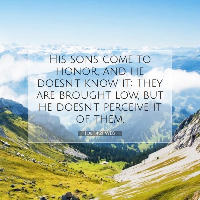 Picture 07 - Job 14:21 WEB - His sons come to honor, and he doesn't know it; - Bible Verse Picture