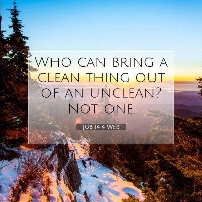 Picture 07 - Job 14:4 WEB - Who can bring a clean thing out of an unclean? - Bible Verse Picture