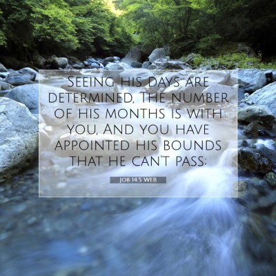 Picture 07 - Job 14:5 WEB - Seeing his days are determined, The number of his - Bible Verse Picture