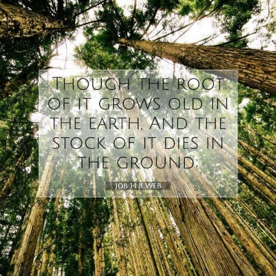 Picture 07 - Job 14:8 WEB - Though the root of it grows old in the earth, And - Bible Verse Picture