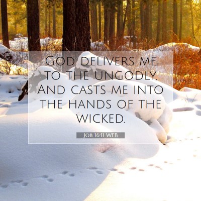 Picture 07 - Job 16:11 WEB - God delivers me to the ungodly, And casts me into - Bible Verse Picture