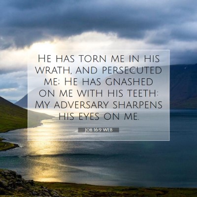 Picture 07 - Job 16:9 WEB - He has torn me in his wrath, and persecuted me; - Bible Verse Picture