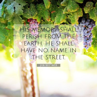 Picture 07 - Job 18:17 WEB - His memory shall perish from the earth. He shall - Bible Verse Picture