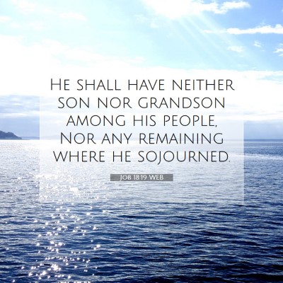 Picture 07 - Job 18:19 WEB - He shall have neither son nor grandson among his - Bible Verse Picture