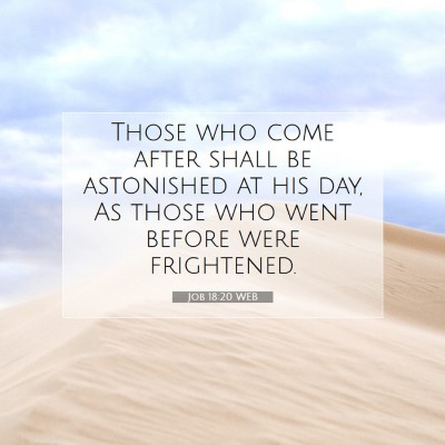 Picture 07 - Job 18:20 WEB - Those who come after shall be astonished at his - Bible Verse Picture