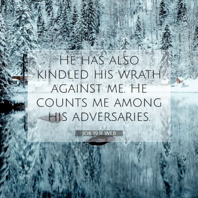 Picture 07 - Job 19:11 WEB - He has also kindled his wrath against me. He - Bible Verse Picture
