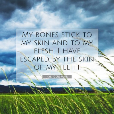 Picture 07 - Job 19:20 WEB - My bones stick to my skin and to my flesh. I have - Bible Verse Picture