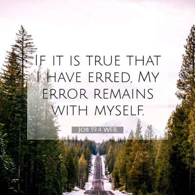 Picture 07 - Job 19:4 WEB - If it is true that I have erred, My error remains - Bible Verse Picture