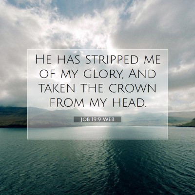 Picture 07 - Job 19:9 WEB - He has stripped me of my glory, And taken the - Bible Verse Picture