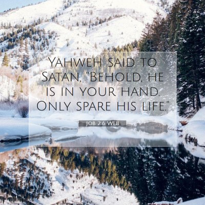 Picture 07 - Job 2:6 WEB - Yahweh said to Satan, 