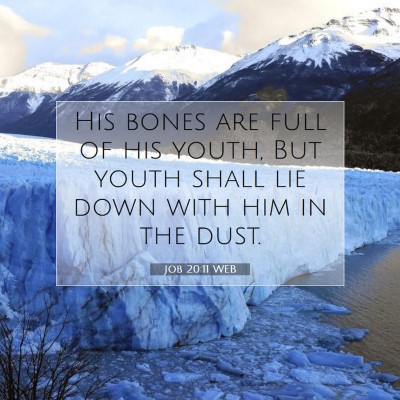 Picture 07 - Job 20:11 WEB - His bones are full of his youth, But youth shall - Bible Verse Picture