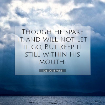 Picture 07 - Job 20:13 WEB - Though he spare it, and will not let it go, But - Bible Verse Picture