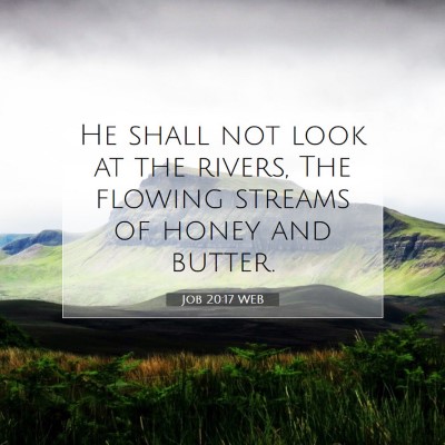 Picture 07 - Job 20:17 WEB - He shall not look at the rivers, The flowing - Bible Verse Picture