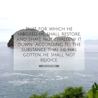 Picture 07 - Job 20:18 WEB - That for which he labored he shall restore, and - Bible Verse Picture
