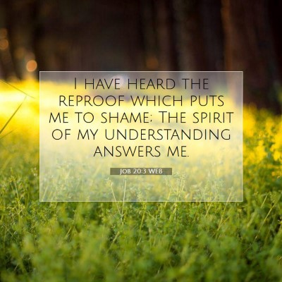Picture 07 - Job 20:3 WEB - I have heard the reproof which puts me to shame; - Bible Verse Picture