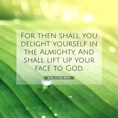 Picture 07 - Job 22:26 WEB - For then shall you delight yourself in the - Bible Verse Picture