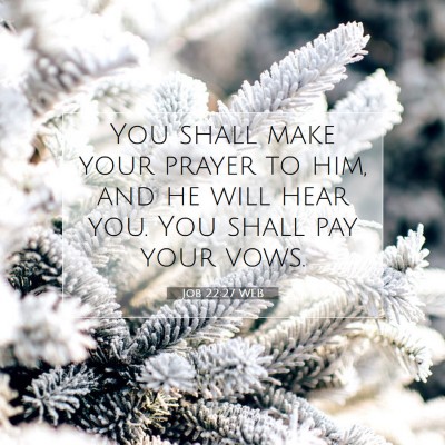 Picture 07 - Job 22:27 WEB - You shall make your prayer to him, and he will - Bible Verse Picture