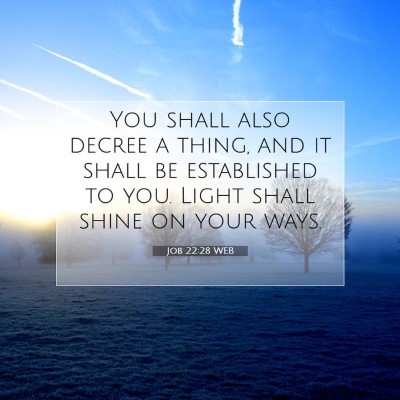Picture 07 - Job 22:28 WEB - You shall also decree a thing, and it shall be - Bible Verse Picture