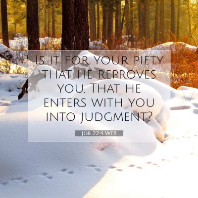 Picture 07 - Job 22:4 WEB - Is it for your piety that he reproves you, That - Bible Verse Picture