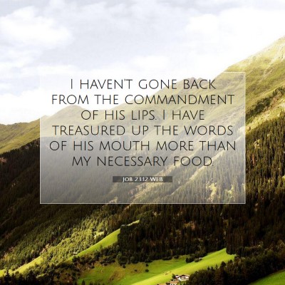 Picture 07 - Job 23:12 WEB - I haven't gone back from the commandment of his - Bible Verse Picture