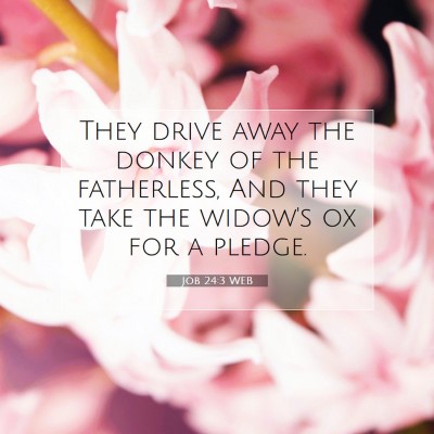 Picture 07 - Job 24:3 WEB - They drive away the donkey of the fatherless, And - Bible Verse Picture