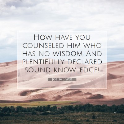 Picture 07 - Job 26:3 WEB - How have you counseled him who has no wisdom, And - Bible Verse Picture