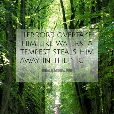 Picture 07 - Job 27:20 WEB - Terrors overtake him like waters; A tempest - Bible Verse Picture
