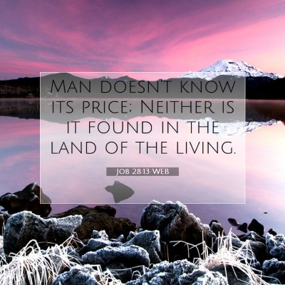 Picture 07 - Job 28:13 WEB - Man doesn't know its price; Neither is it found - Bible Verse Picture