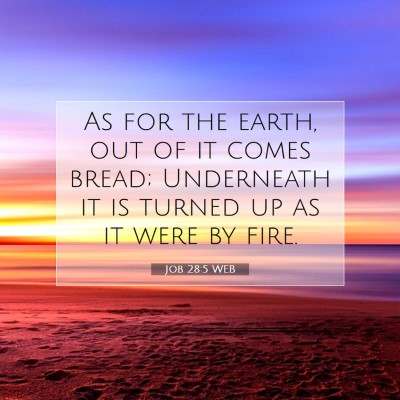 Picture 07 - Job 28:5 WEB - As for the earth, out of it comes bread; - Bible Verse Picture
