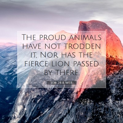 Picture 07 - Job 28:8 WEB - The proud animals have not trodden it, Nor has - Bible Verse Picture