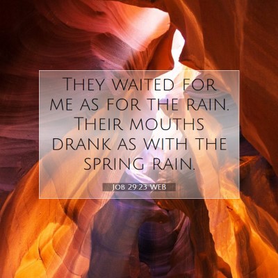 Picture 07 - Job 29:23 WEB - They waited for me as for the rain. Their mouths - Bible Verse Picture