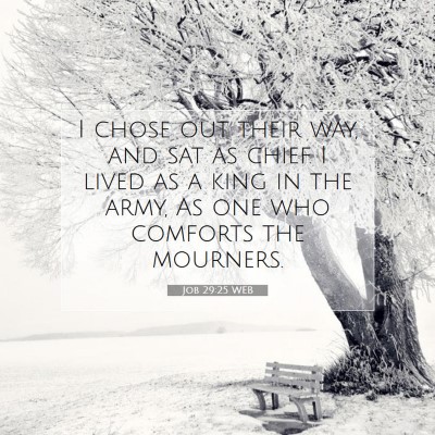 Picture 07 - Job 29:25 WEB - I chose out their way, and sat as chief. I lived - Bible Verse Picture
