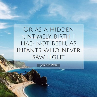 Picture 07 - Job 3:16 WEB - Or as a hidden untimely birth I had not been, As - Bible Verse Picture