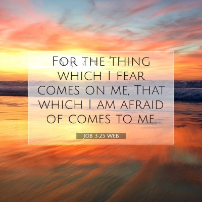 Picture 07 - Job 3:25 WEB - For the thing which I fear comes on me, That - Bible Verse Picture