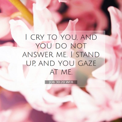 Picture 07 - Job 30:20 WEB - I cry to you, and you do not answer me. I stand - Bible Verse Picture