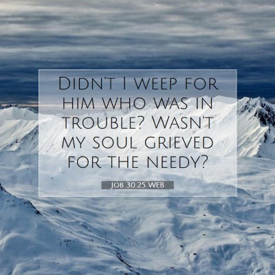 Picture 07 - Job 30:25 WEB - Didn't I weep for him who was in trouble? Wasn't - Bible Verse Picture