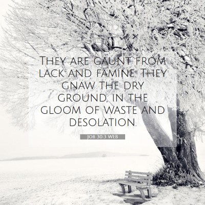 Picture 07 - Job 30:3 WEB - They are gaunt from lack and famine. They gnaw - Bible Verse Picture