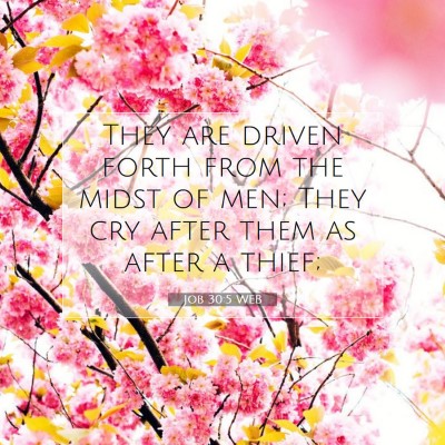Picture 07 - Job 30:5 WEB - They are driven forth from the midst of men; They - Bible Verse Picture