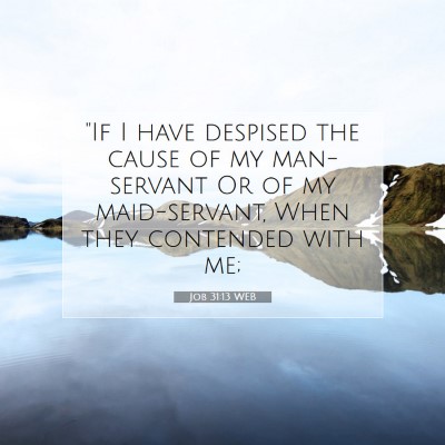 Picture 07 - Job 31:13 WEB - 