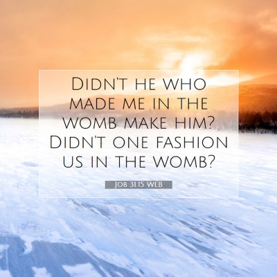 Picture 07 - Job 31:15 WEB - Didn't he who made me in the womb make him? - Bible Verse Picture