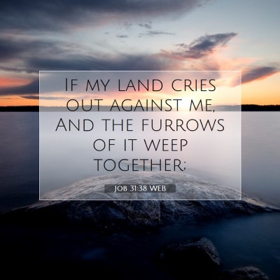 Picture 07 - Job 31:38 WEB - If my land cries out against me, And the furrows - Bible Verse Picture