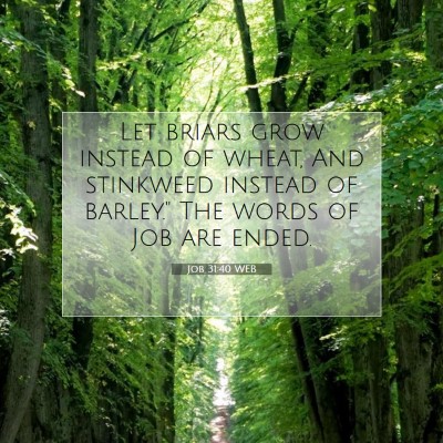 Picture 07 - Job 31:40 WEB - Let briars grow instead of wheat, And stinkweed - Bible Verse Picture