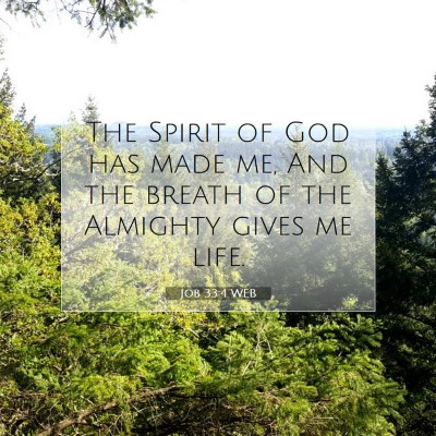 Picture 07 - Job 33:4 WEB - The Spirit of God has made me, And the breath of - Bible Verse Picture